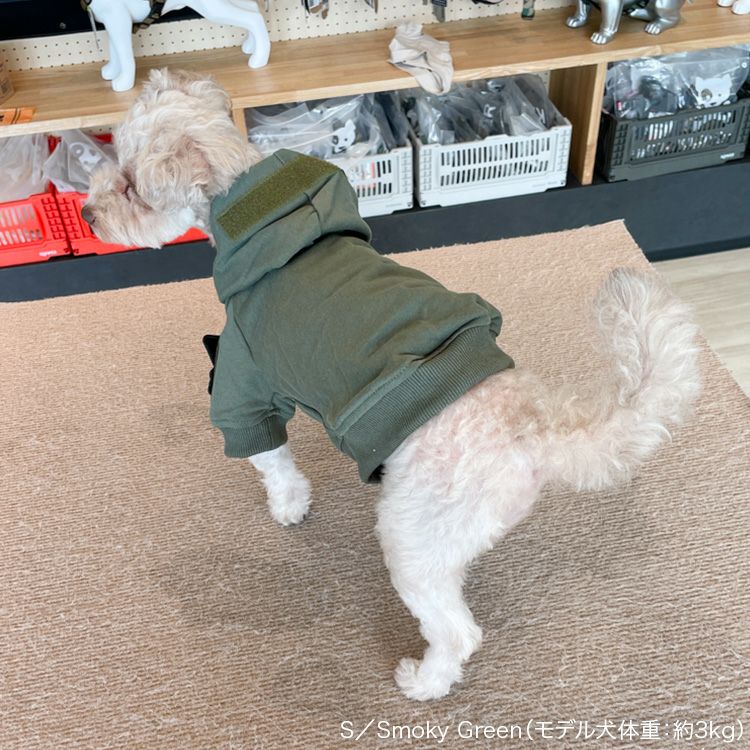 JP R6 Hoodie