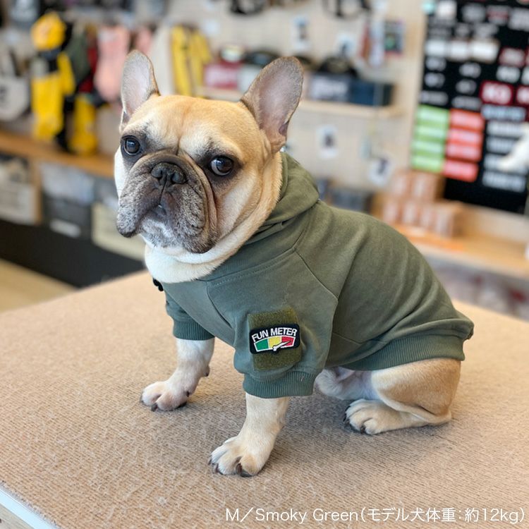 JP R6 Hoodie