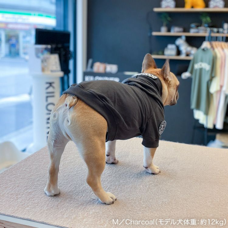 JP R6 Hoodie