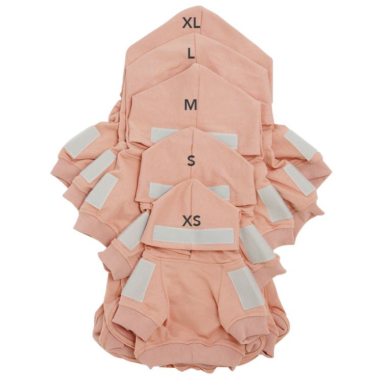JP R6 Hoodie