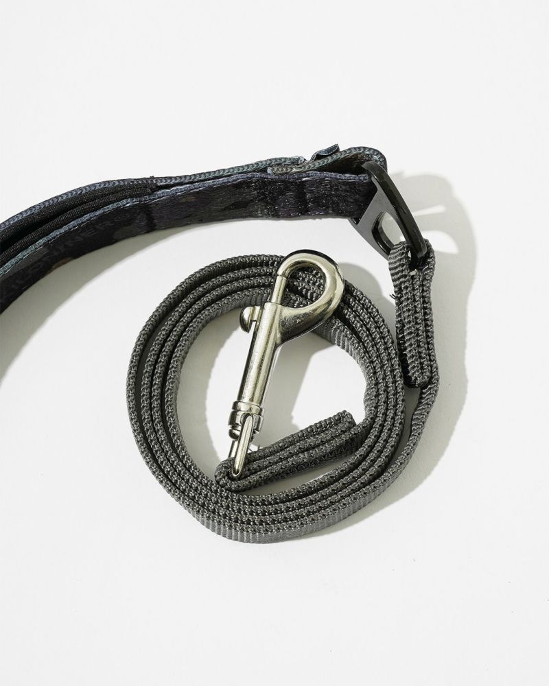M2L-B Lightspeed Leash