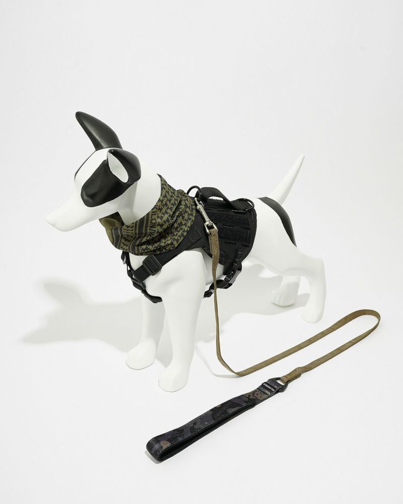 M2L-B Lightspeed Leash