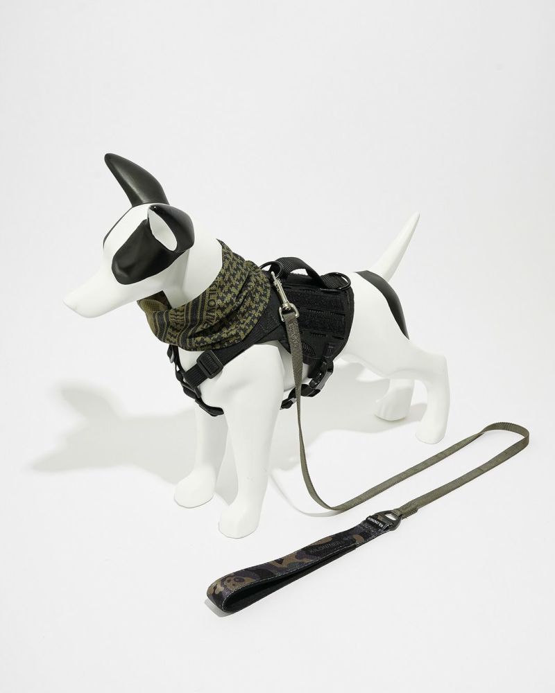 M2L-B Lightspeed Leash