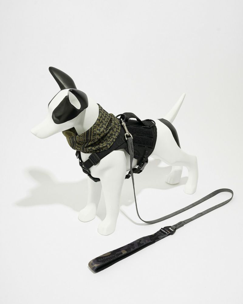 M2L-B Lightspeed Leash