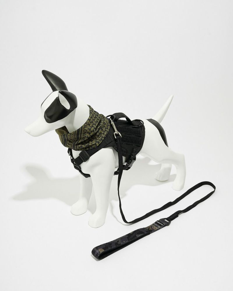 M2L-B Lightspeed Leash