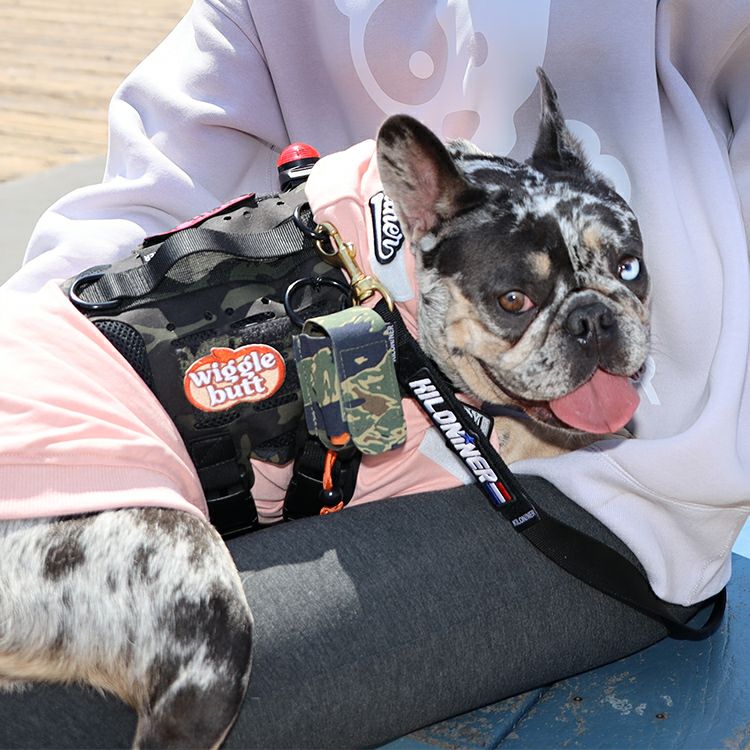 V2-Wiggle Butt Patch