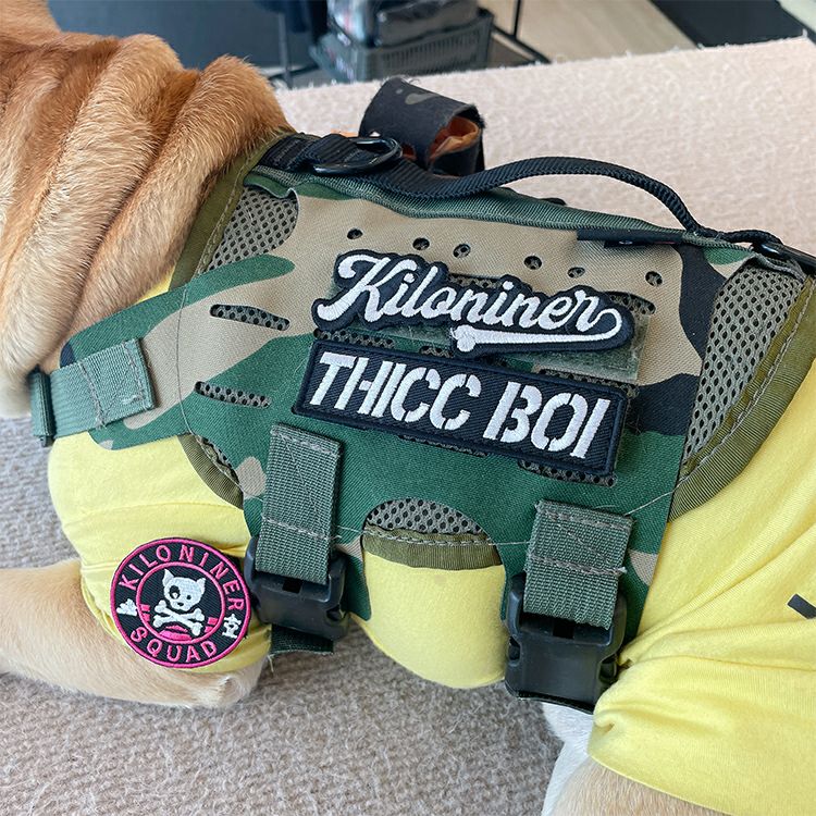 Thicc Boi Patch