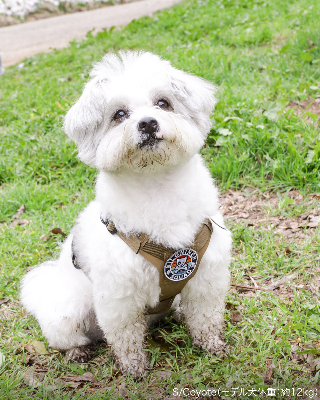2023モデル M1 Light Speed Harness