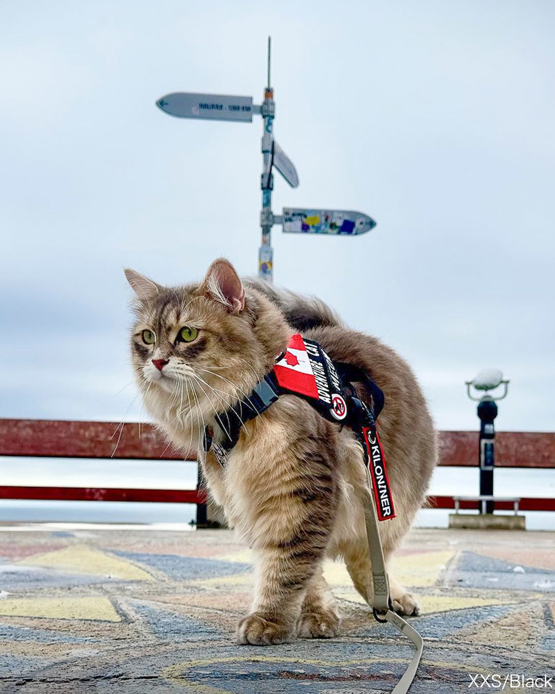 2023モデル M1 Light Speed Harness