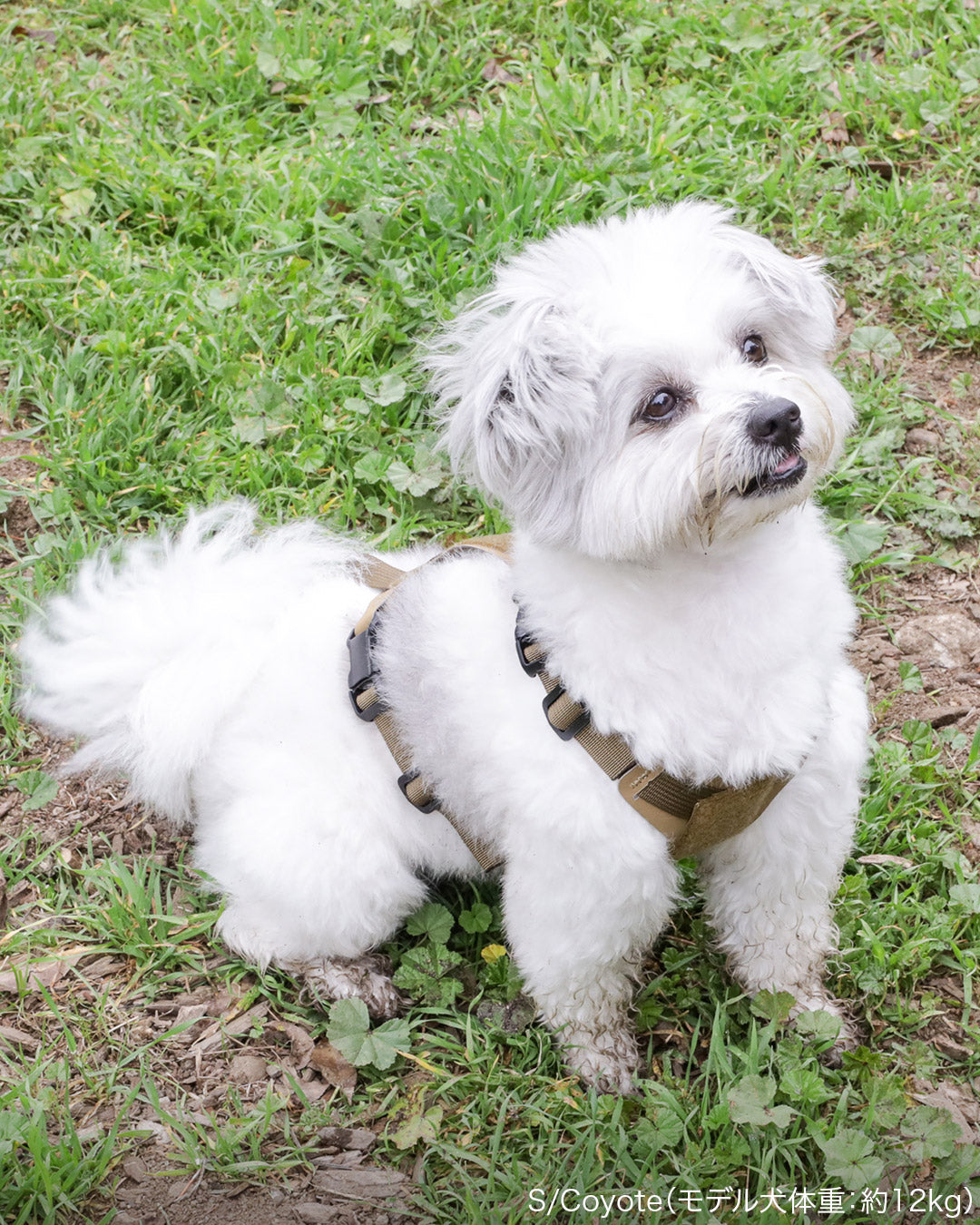 2023モデル M1 Light Speed Harness