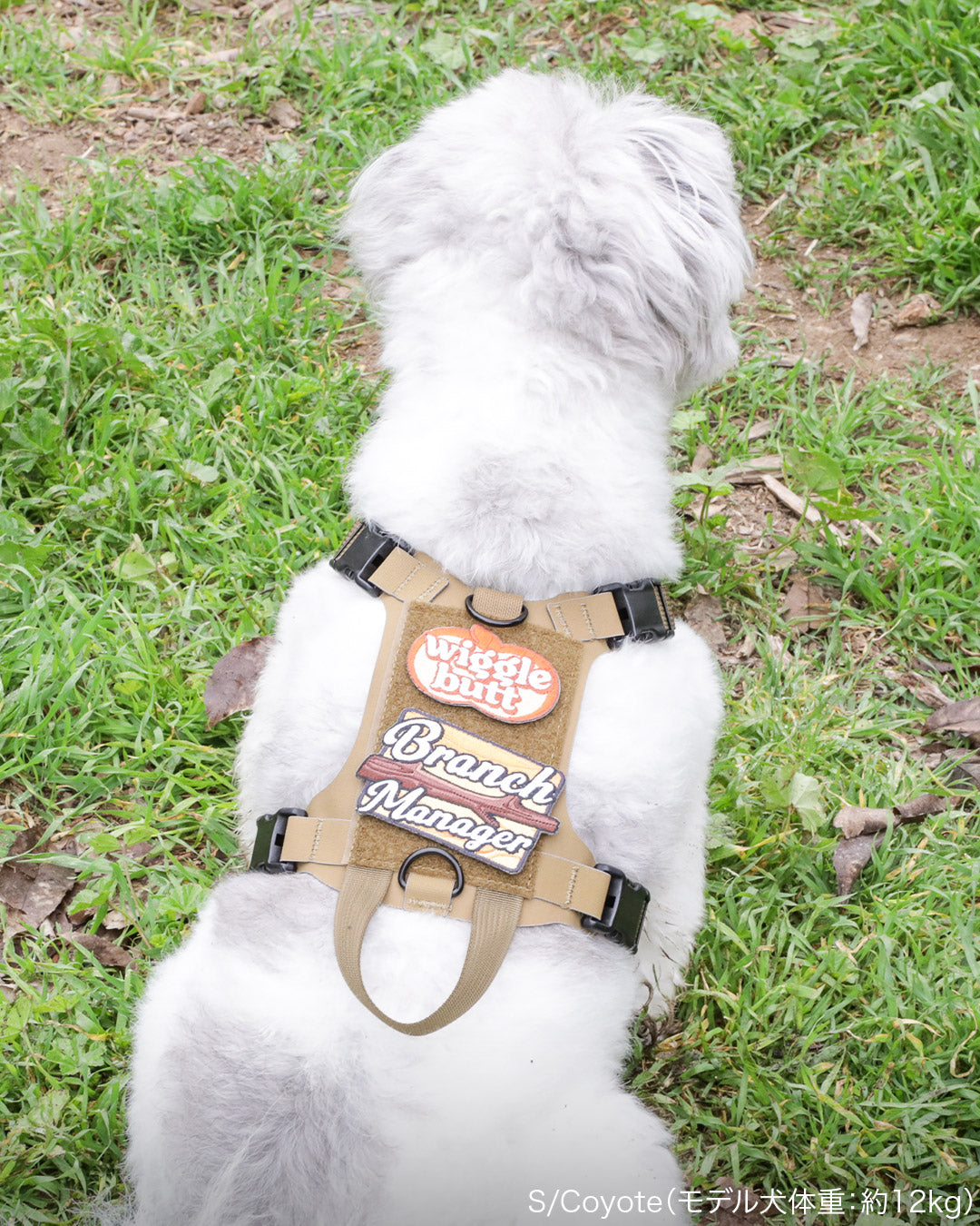 2023モデル M1 Light Speed Harness