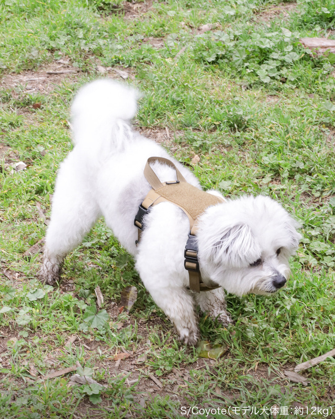 2023モデル M1 Light Speed Harness