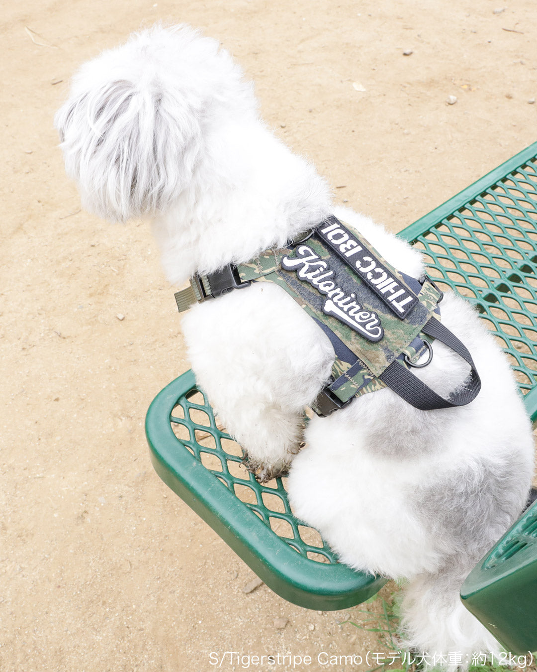 2023モデル M1 Light Speed Harness