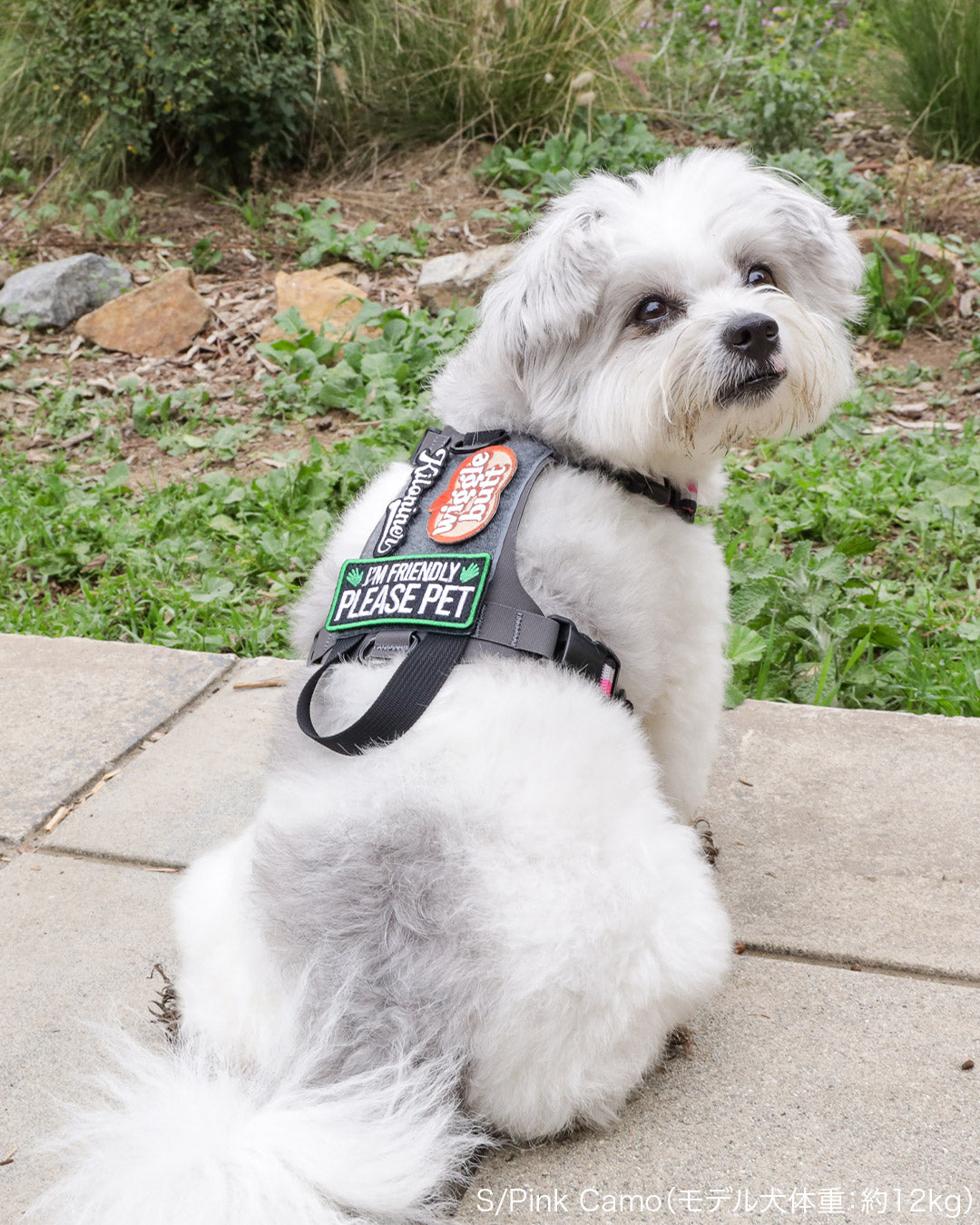 2023モデル M1 Light Speed Harness