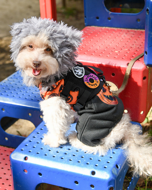 オレンジ ドーナツ パッチ