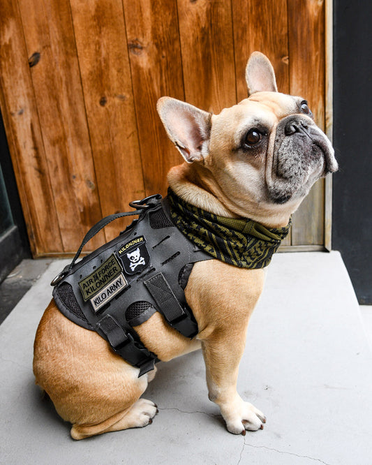 エアフォース パッチ