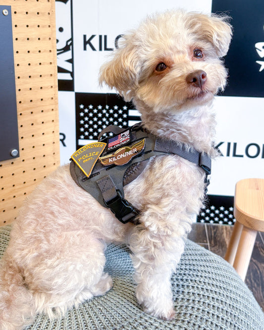 ポリスデプト パッチ