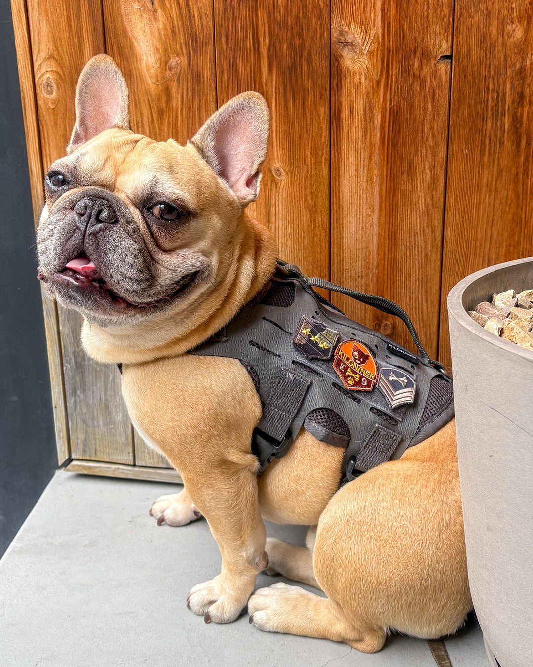 K9ドッグメダル パッチ