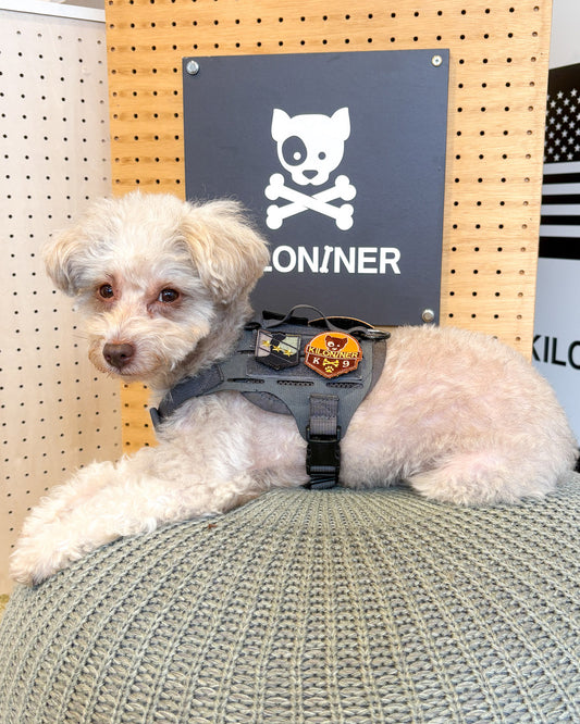 K9ドッグメダル パッチ