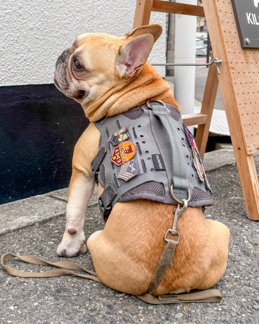 クロスボーンメダル パッチ