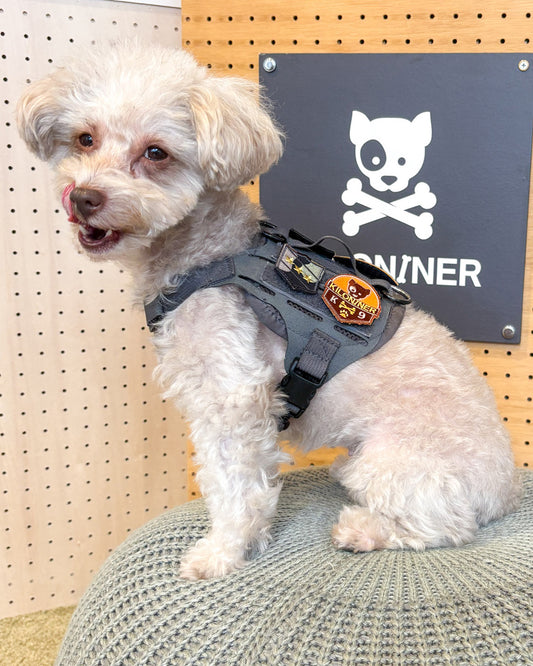 スリースターズメダル パッチ