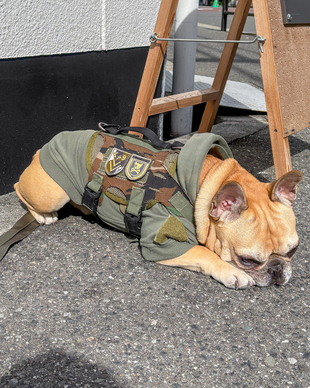 K9メダル パッチ