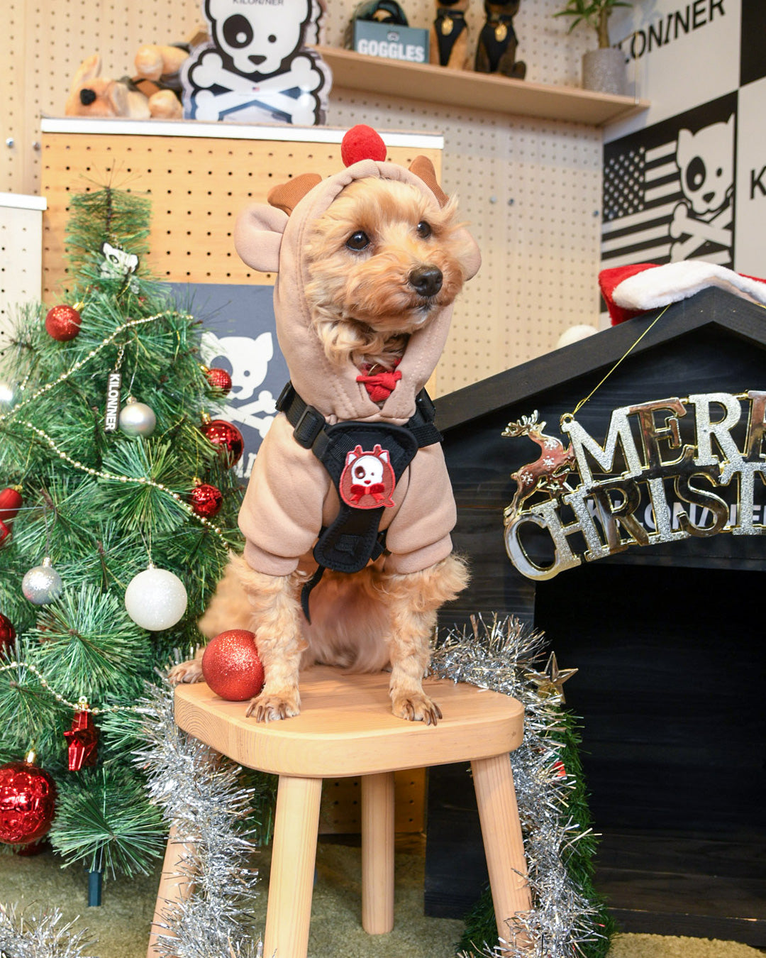 トナカイ パッチ