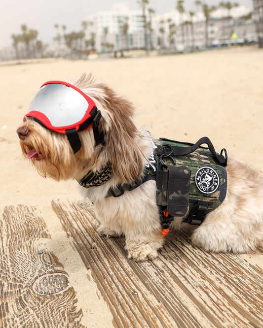 MP4プープバッグポーチ