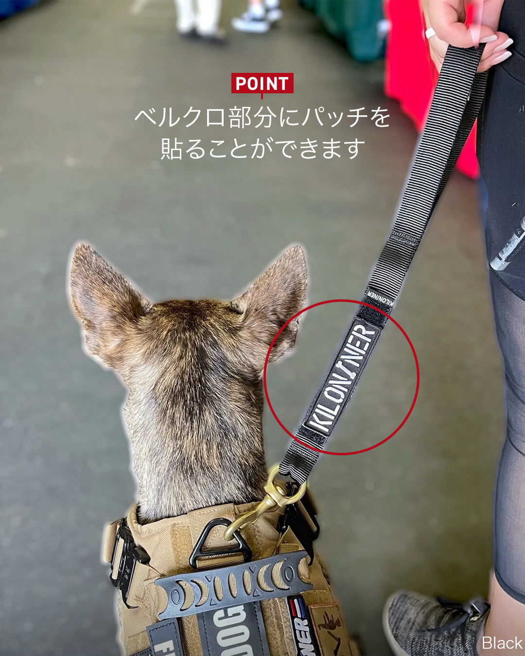 ビッグドッグショートリーシュ