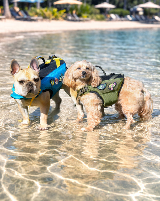 ウォーターガン パッチ