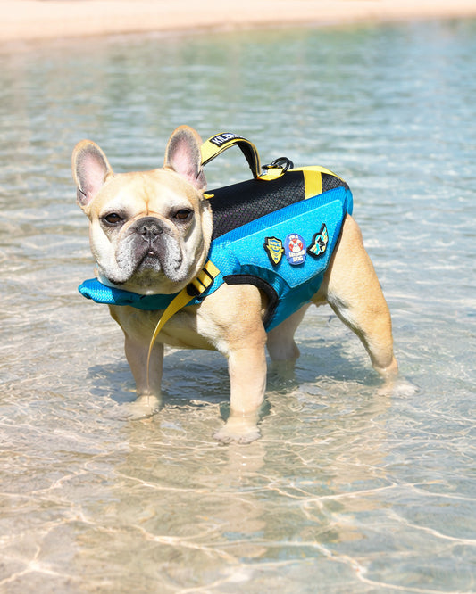 ネイビー パッチ