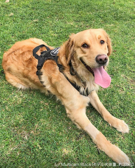 M1ハーネス(Lサイズ)