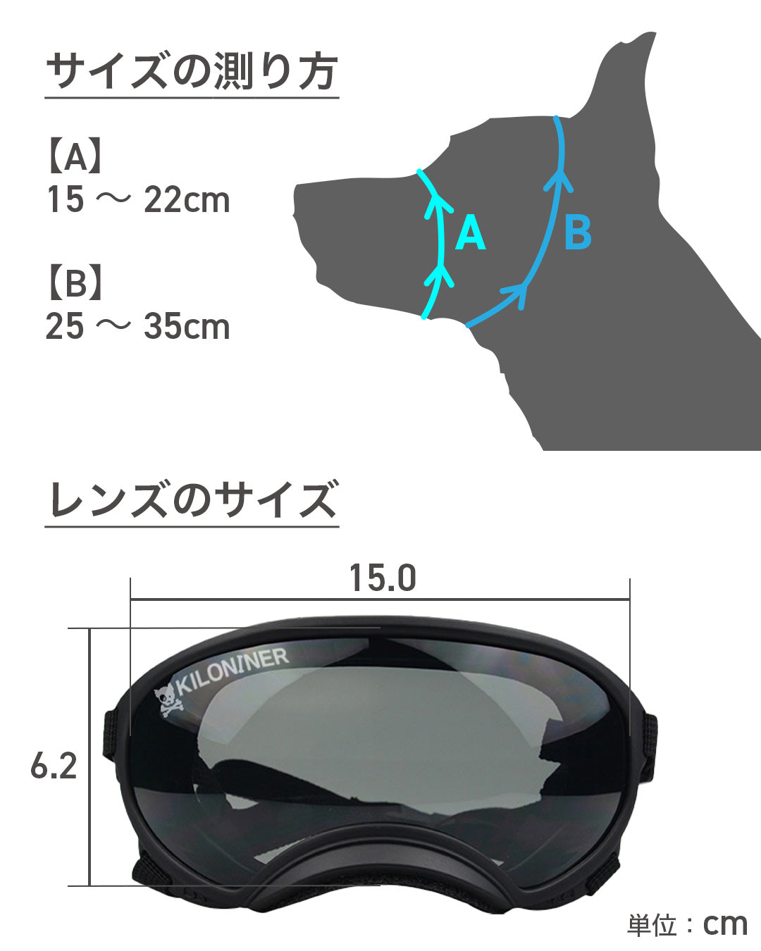 R5ゴーグル