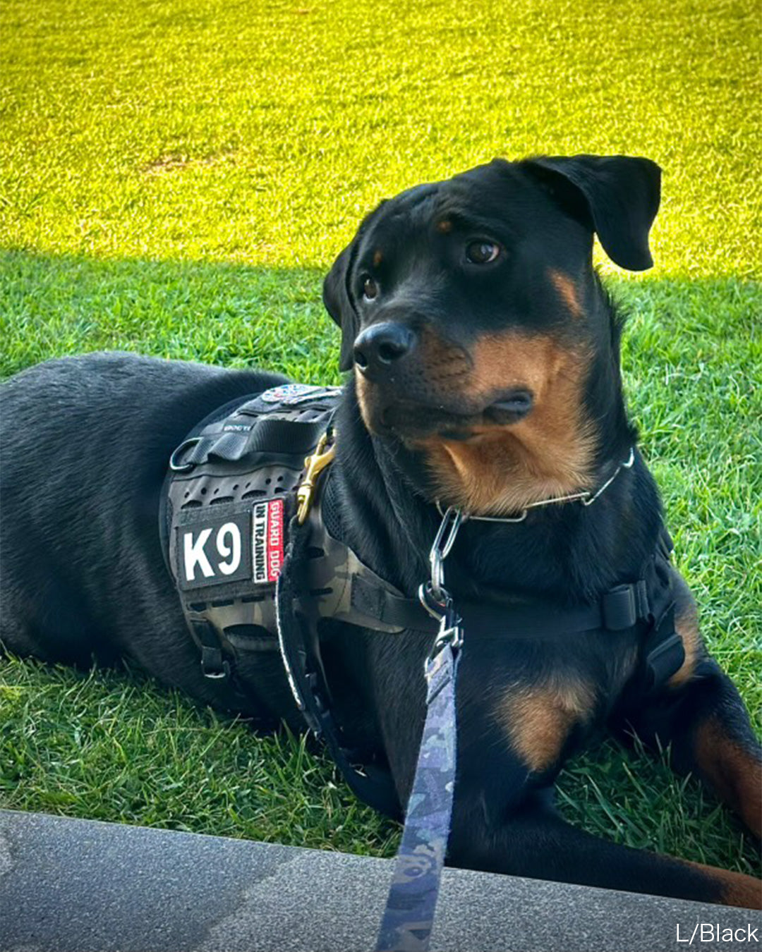K9 パッチ