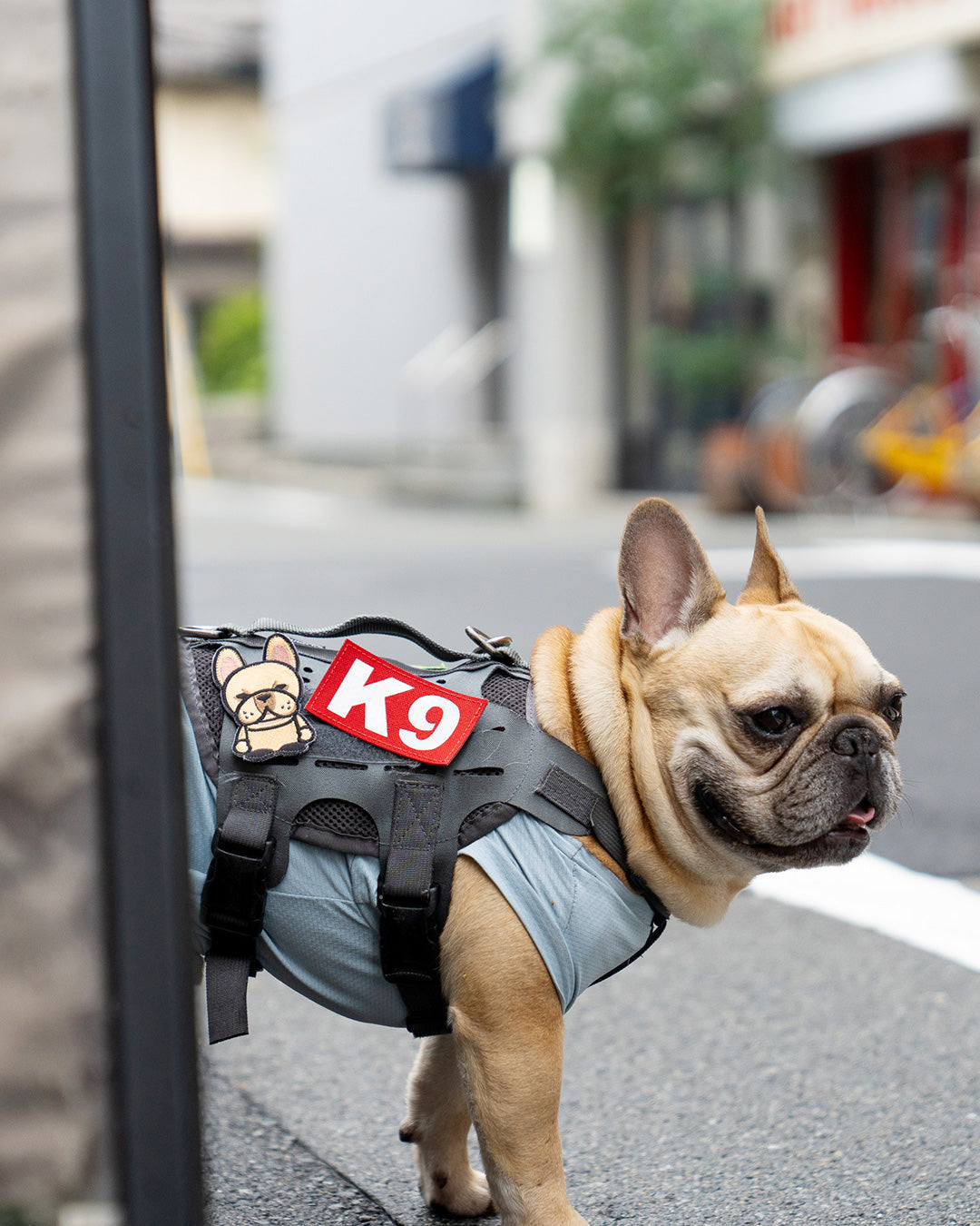 K9 PATCH
