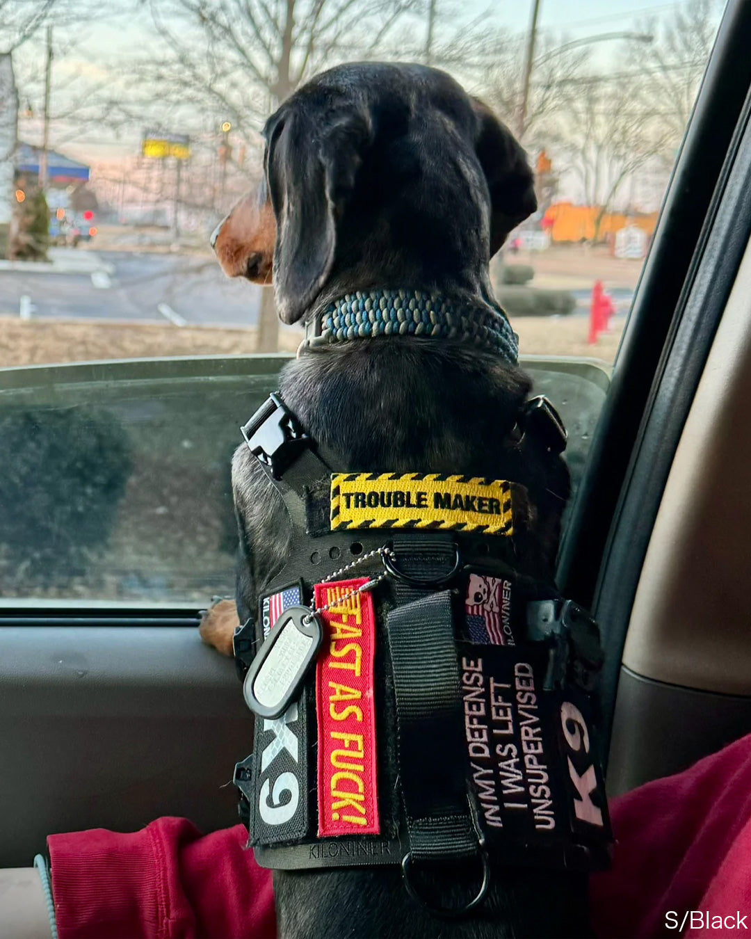 K9 パッチ