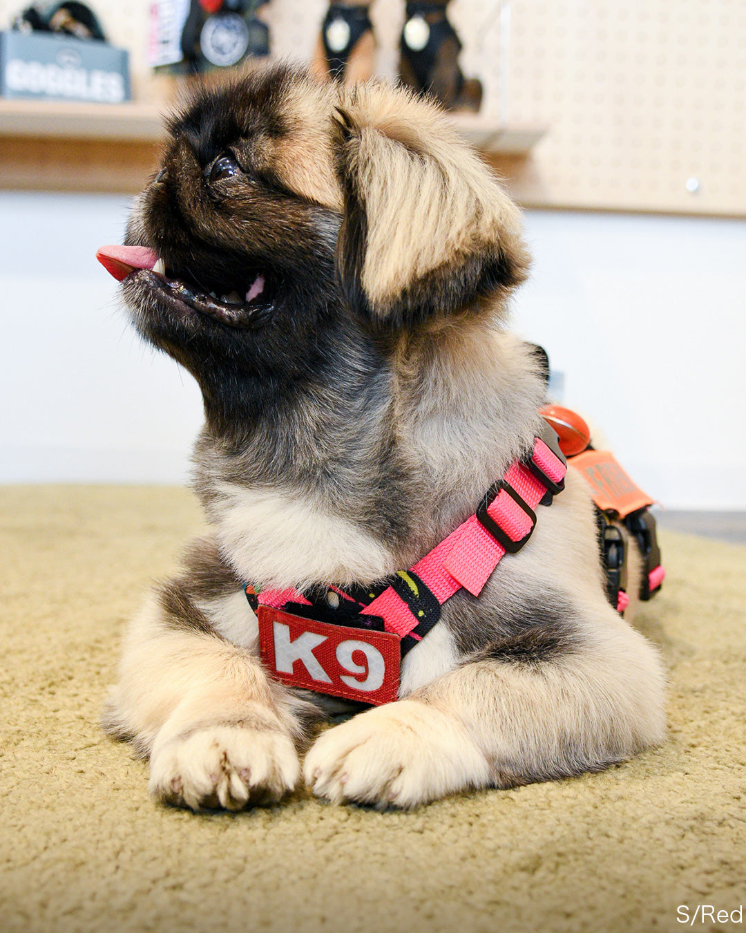 K9 パッチ