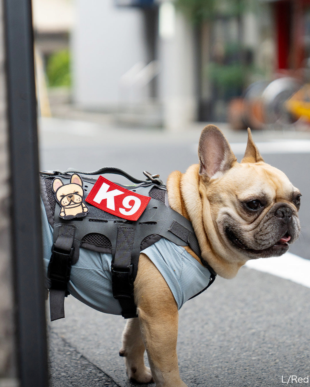 K9 パッチ