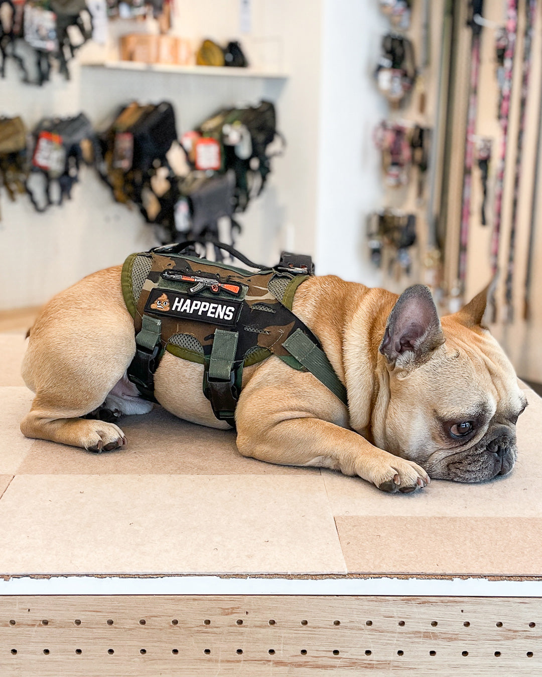 SELECTライフル パッチ