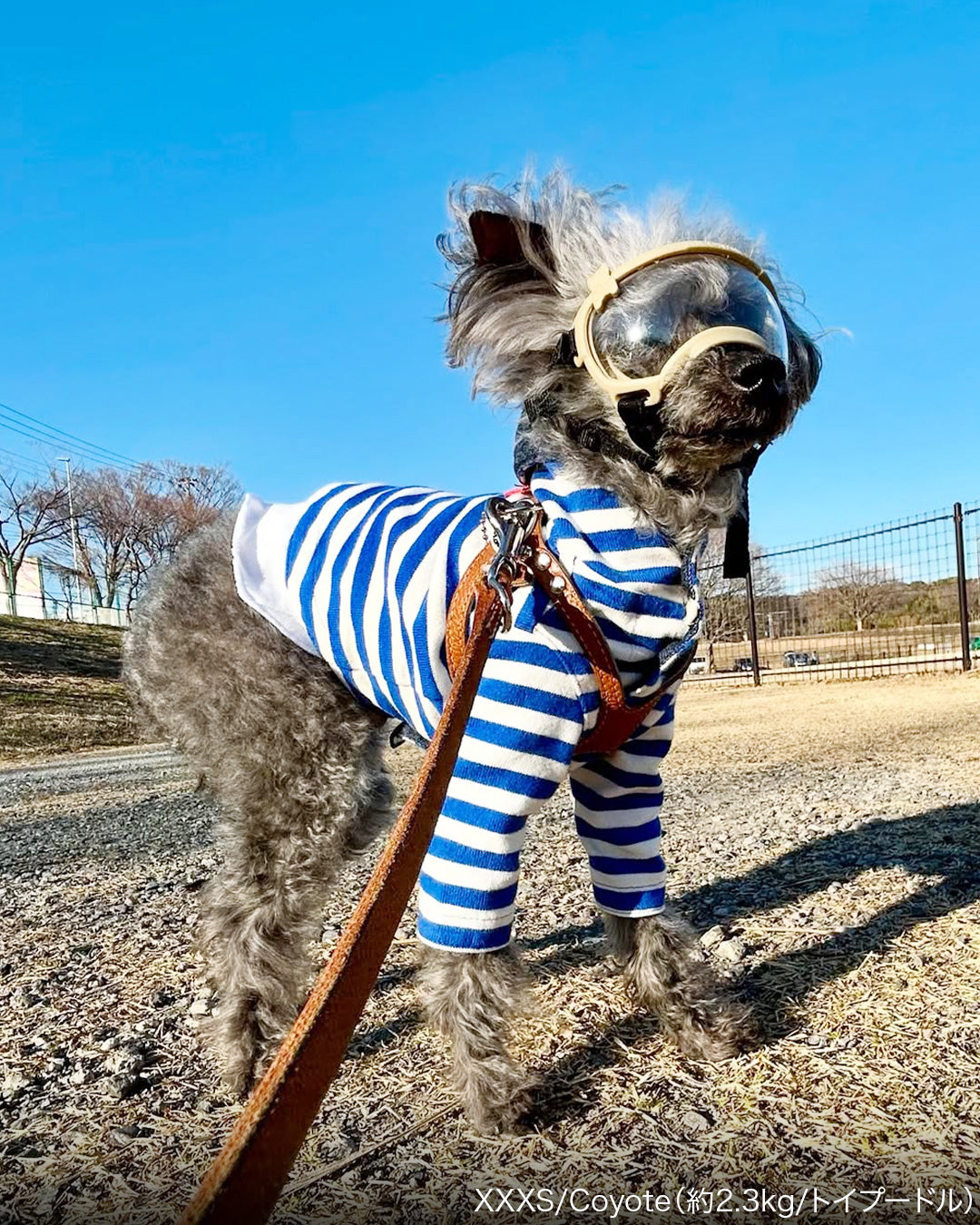 シグネチャーゴーグル