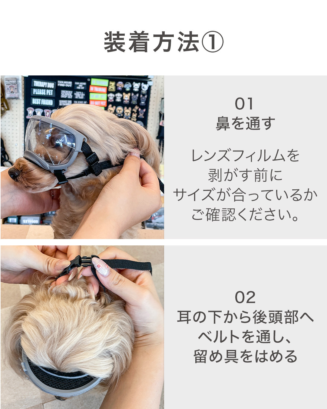 シグネチャーゴーグル