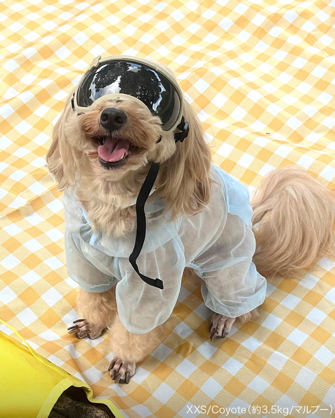 シグネチャーゴーグル