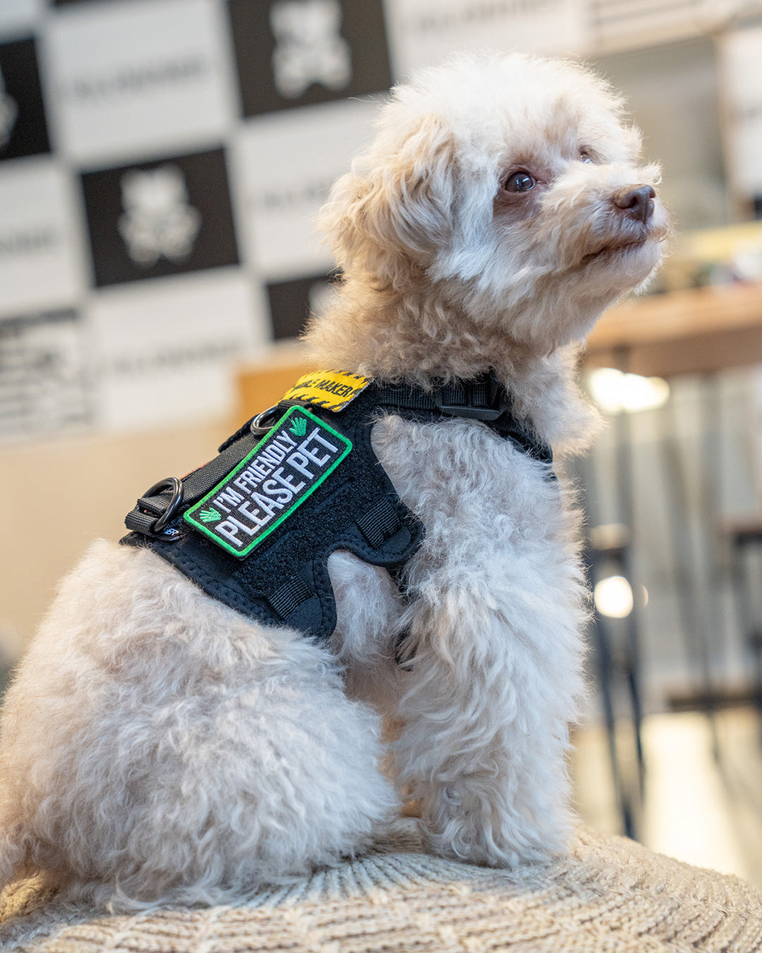 アイムフレンドリープリーズペット パッチ