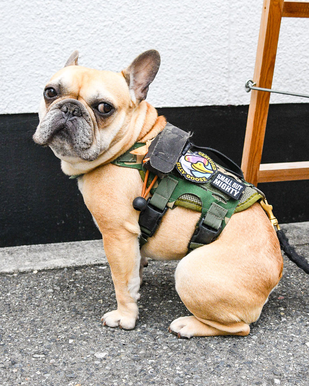 Certified Silly Goose Morale Patch
