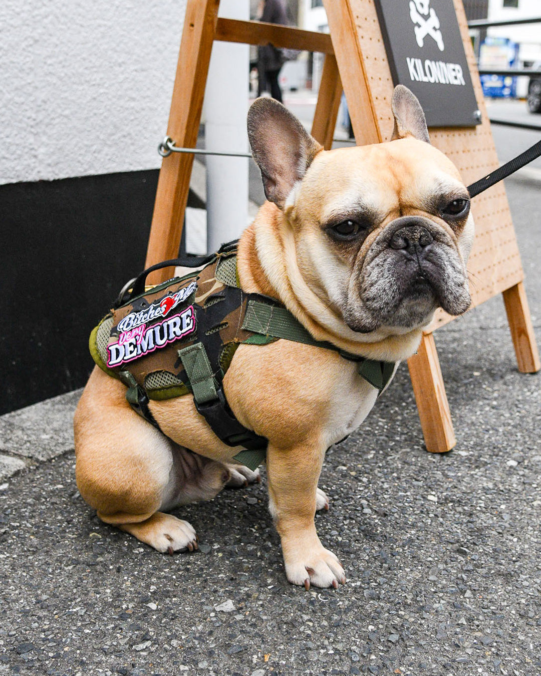Bitches Love Me Morale Patch