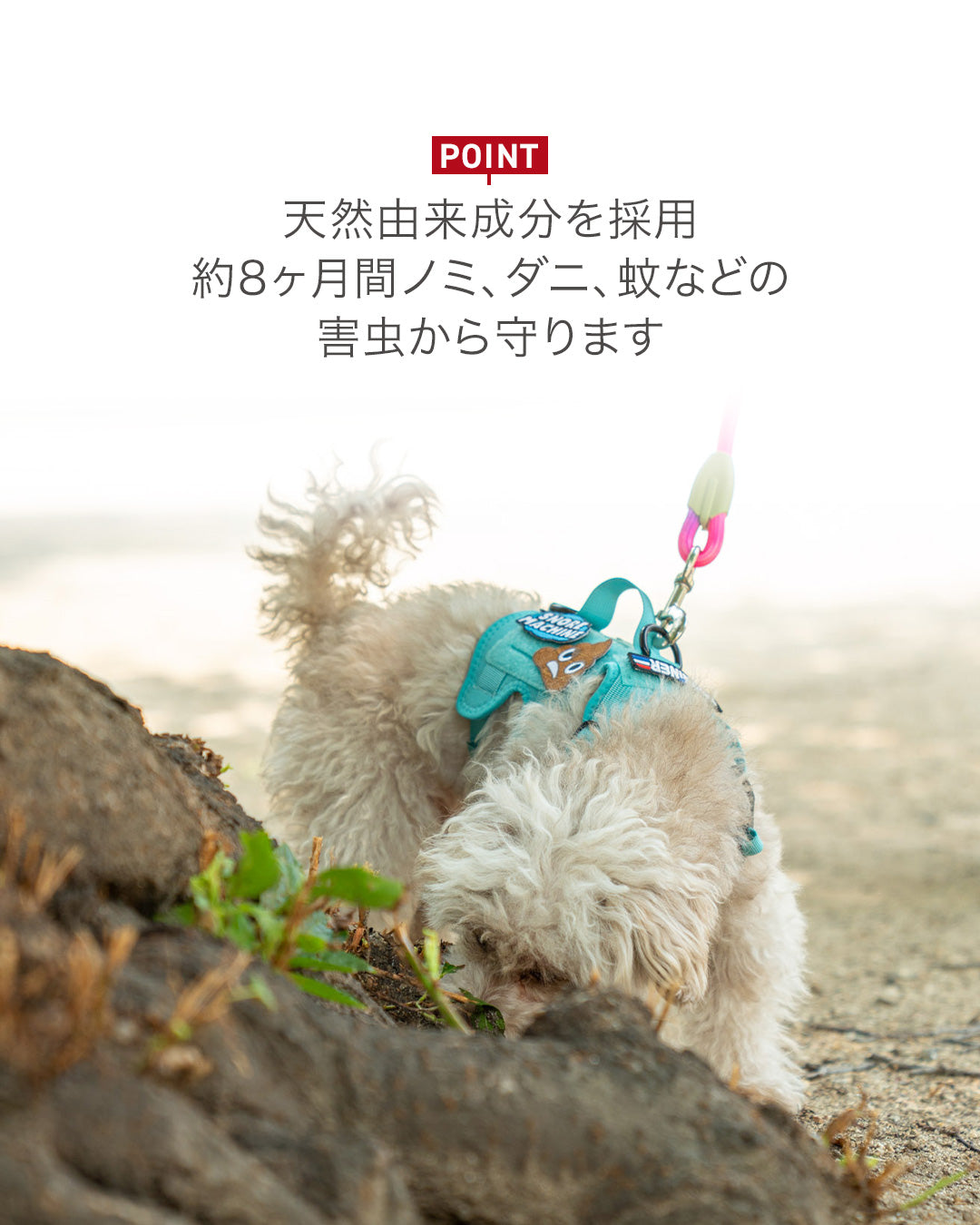 JP Bug Guard Collar
