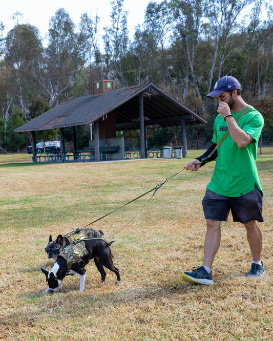 ハンズフリーリーシュパーツ