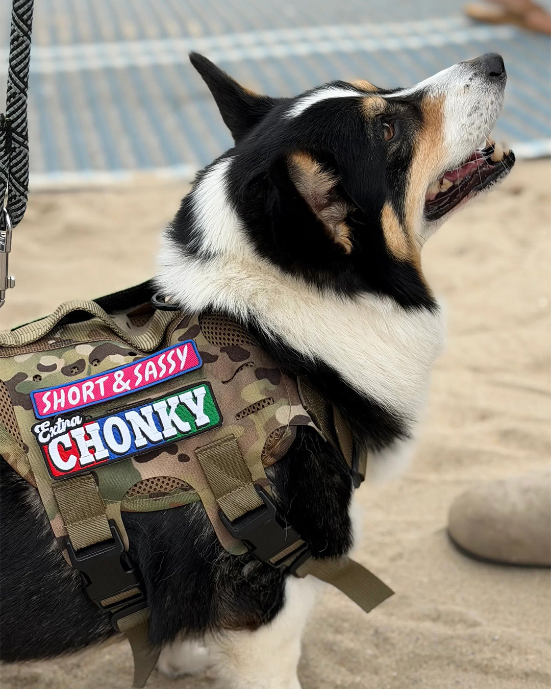 チョンキー パッチ