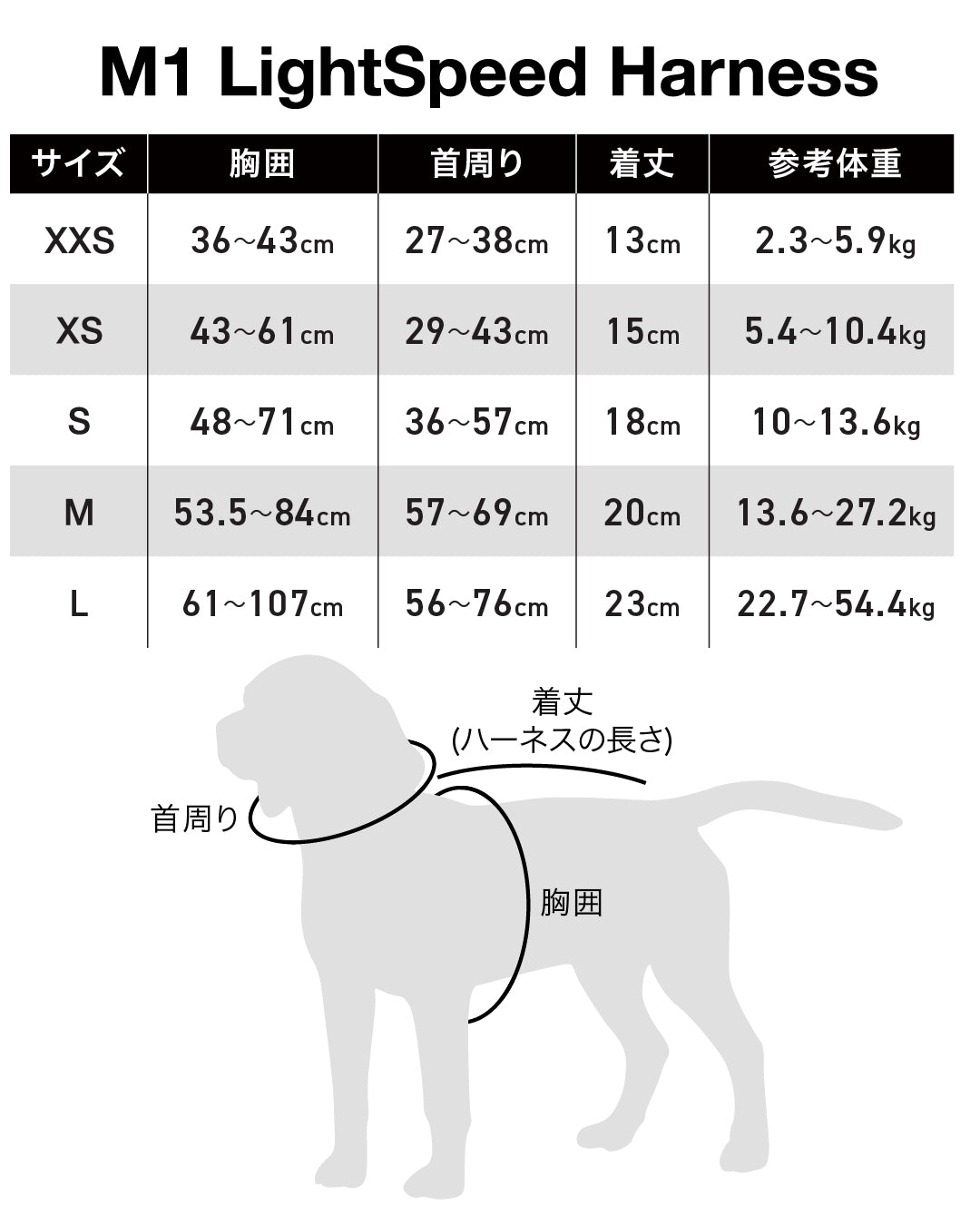 2023モデル M1 Light Speed Harness