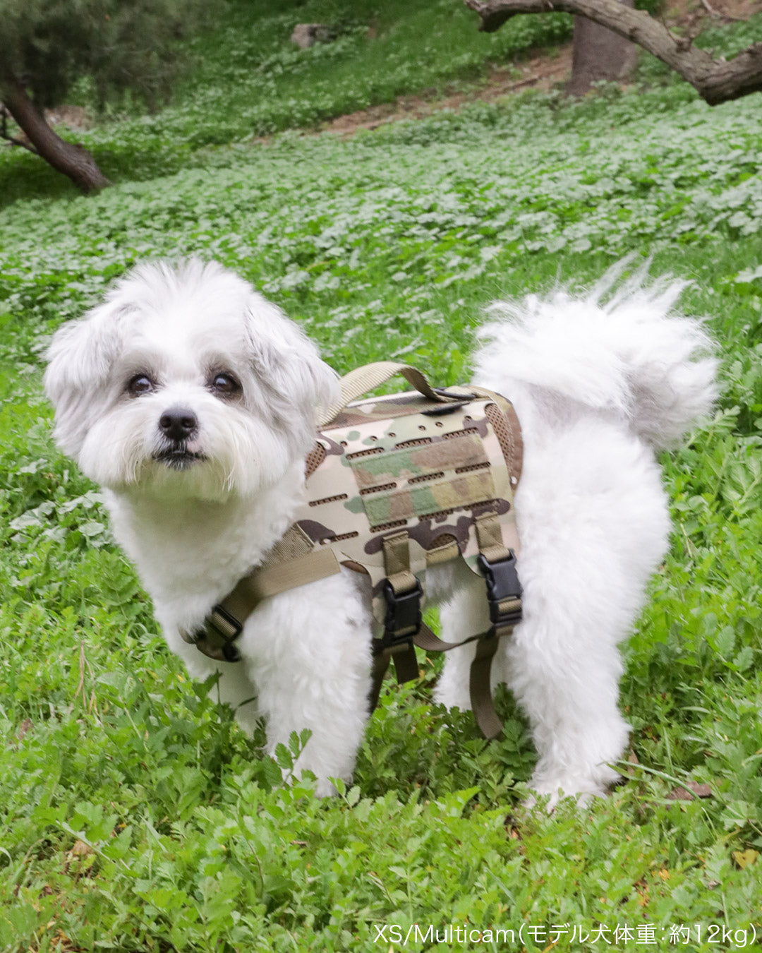 M4 Tactical MOLLE Vest Laser Cut